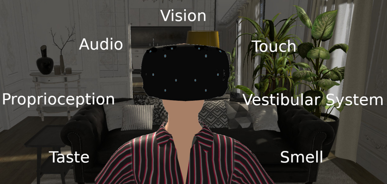 Perceptual Senses Perceptual Senses